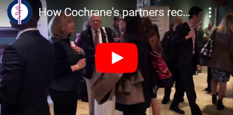 Cochrane partners in discussion at a meeting
